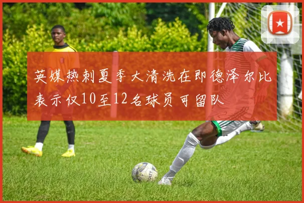 英媒热刺夏季大清洗在即德泽尔比表示仅10至12名球员可留队